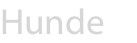 Hunde