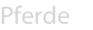 Pferde