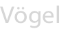 Vögel